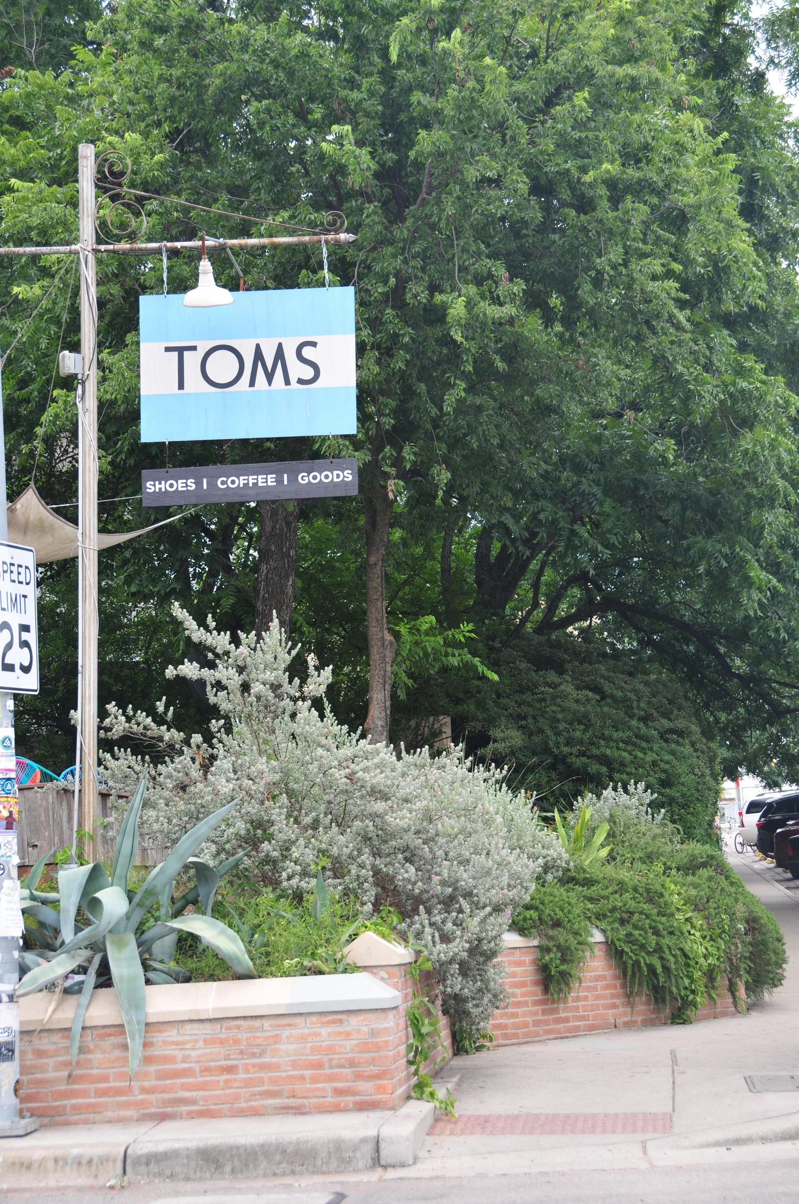 toms 1